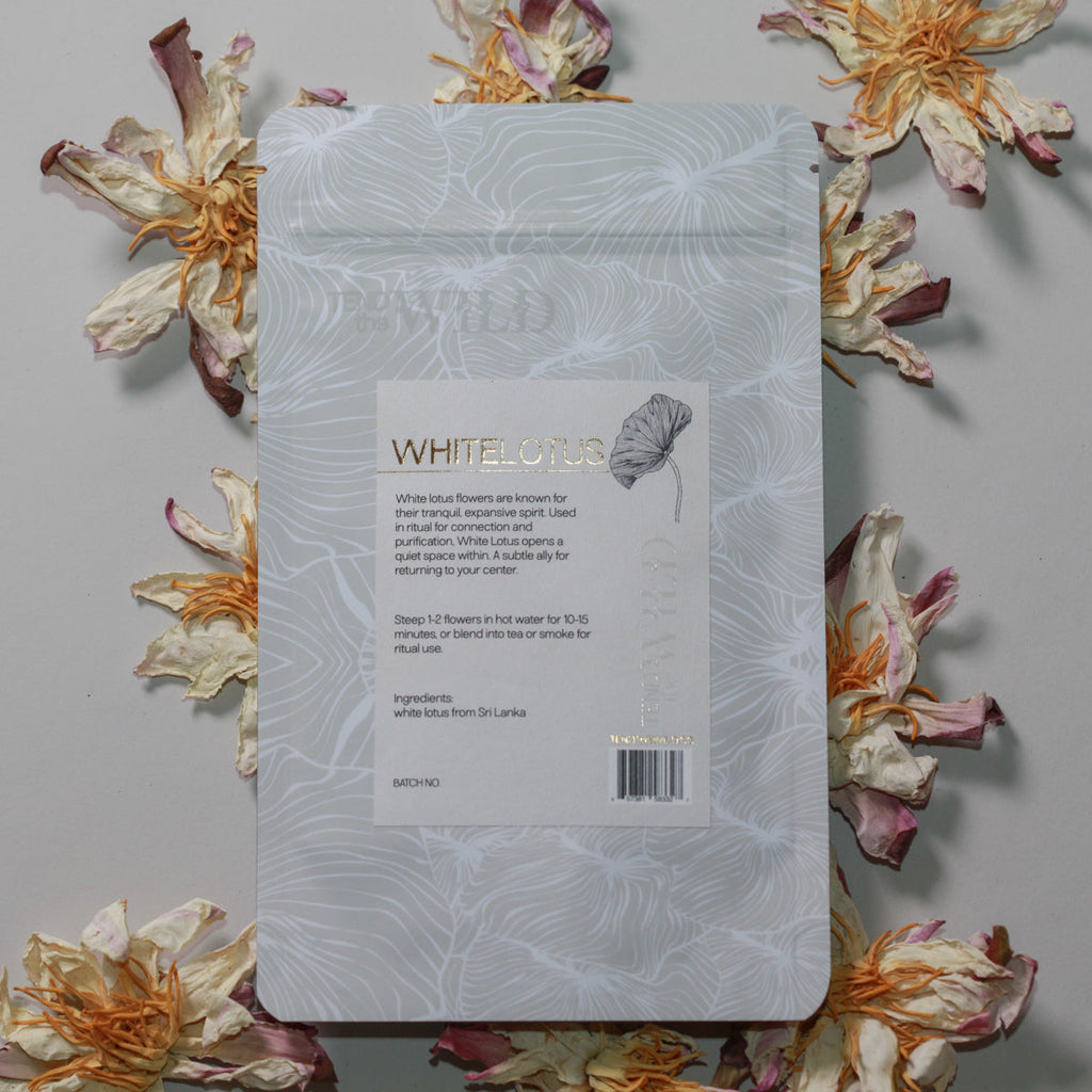 Whole White Lotus Flower